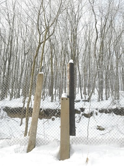 Photos of B&uuml;d&ouml;sk&uacute;tpuszta