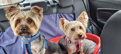Pets at Home Rayleigh Gallery - United Kingdom