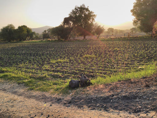 Ranch The Canoas - Thumbnail
