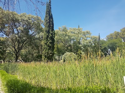 Photos of "Martin Cardenas" Botanical Garden