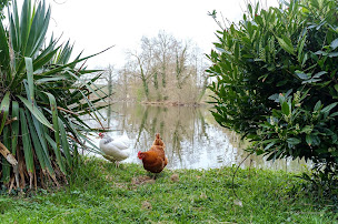 Photo n°8 de Hôtel de l'île du Saussay à Itteville (Hôtel)