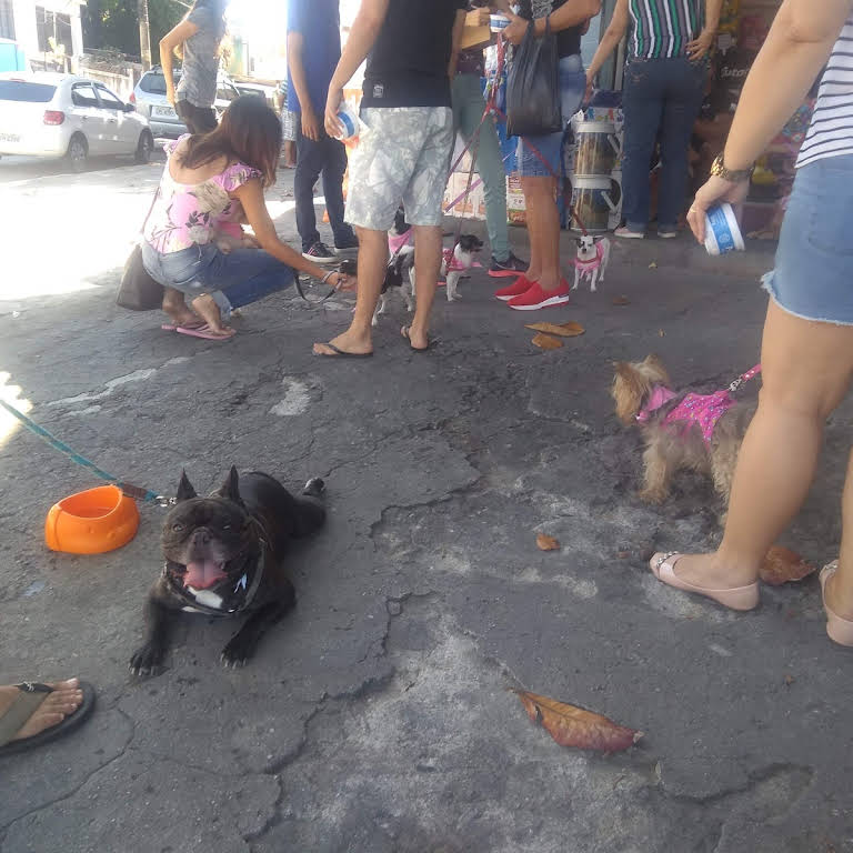 AstroCão PetShop  Rio de Janeiro RJ