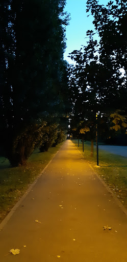 Montagnette - Visual