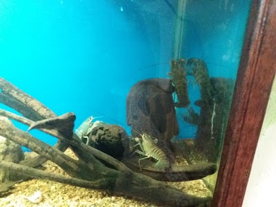 Photos of Mariscal Santa Cruz