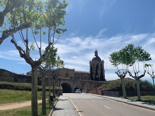 Museo Diocesano y Catedralicio - Thumbnail