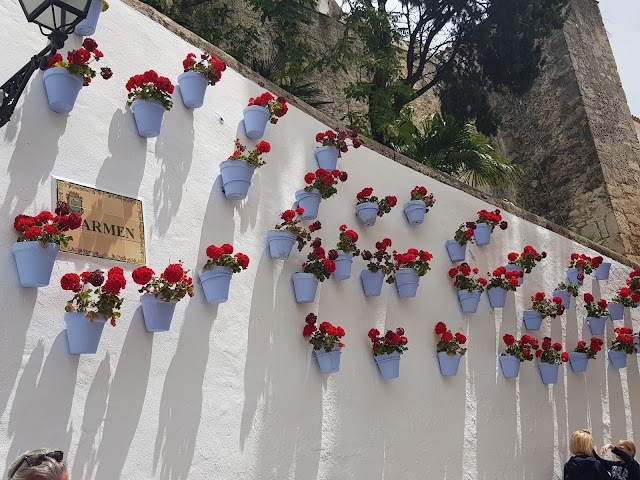 Muralla del Castillo de Marbella