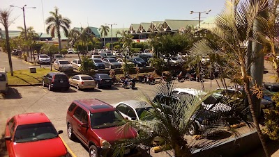 Photos of Plaza Palmeras