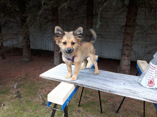 Meadowood Mobile Home Park - Thumbnail