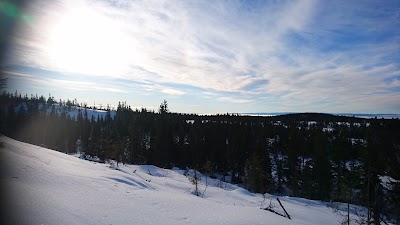 Photos of Lager&aring;kvisla