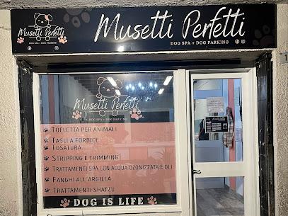 Musetti perfetti