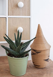 Photo n°8 de Mina Mazet – 🌿 Wellness Massage & Reflexology in La Wantzenau à La Wantzenau (Réflexologue)