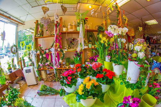 Welfen-Blüte, Inh. H. Hartmann - Thumbnail