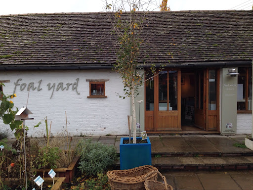 Foal Yard - Visual