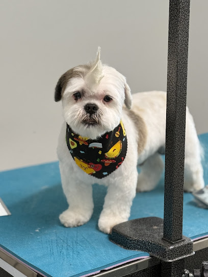 The Ark Dog Services