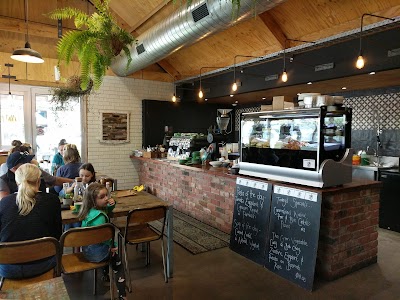 Photos of Ginger Monkey Cafe