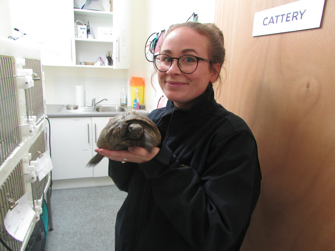 Powderham Veterinary Group