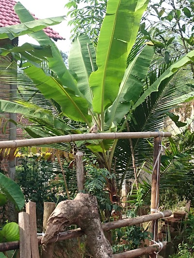 Photos of Solodipo