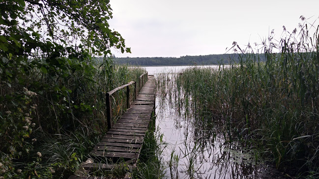 74-520 Lubiechów Dolny