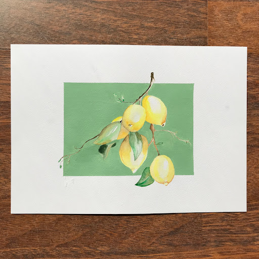 Minicoque - Visual