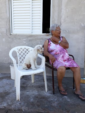 Los Peques Guarderia , Forrajeria y Peluqueria Canina, Author: Carina Duarte