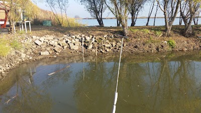 Photos of Holiday Village Fishing Lake Tisza