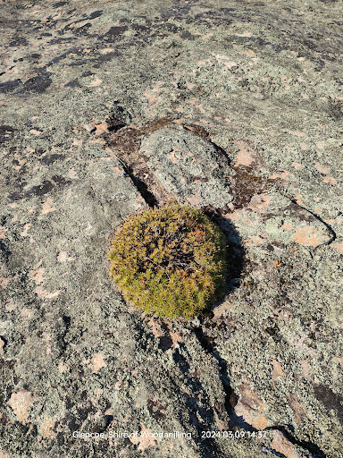 Puntapin Rock - Thumbnail