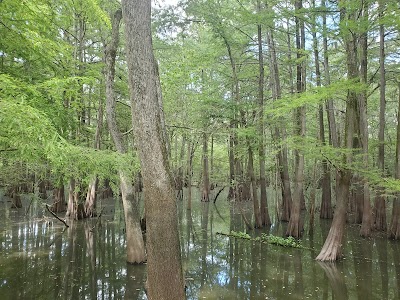 Sky Lake Boardwalk