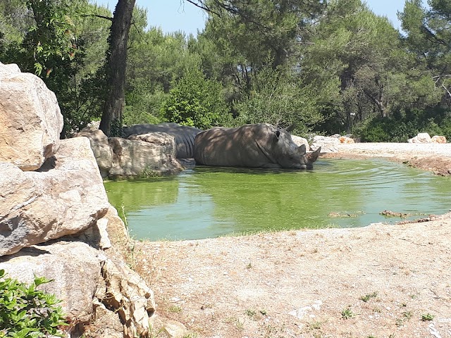 Parc zoologique de Montpellier