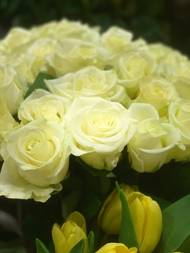 Kwiaciarnia Atmosfera - Katowice