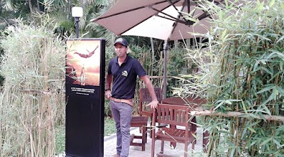 Photos of BNC Rest