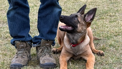 Unidog Kutyasport Központ