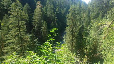 Punchbowl Falls