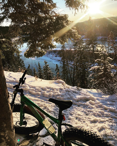 Nickson's Bikes - Visual