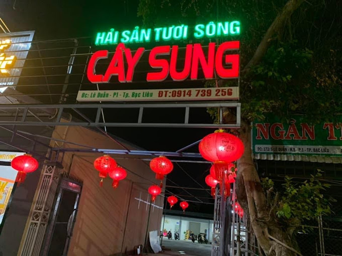 Cây Sung Quán, Đường Lê Duẩn, Phường 1, Bạc Liêu,