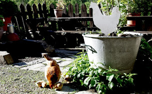 Photo n°29 de AGRITOURISME la Ferme des Louiqs, chambres d'hôtes, famille FERRAN à Entraunes (Hébergement d'intérieur)