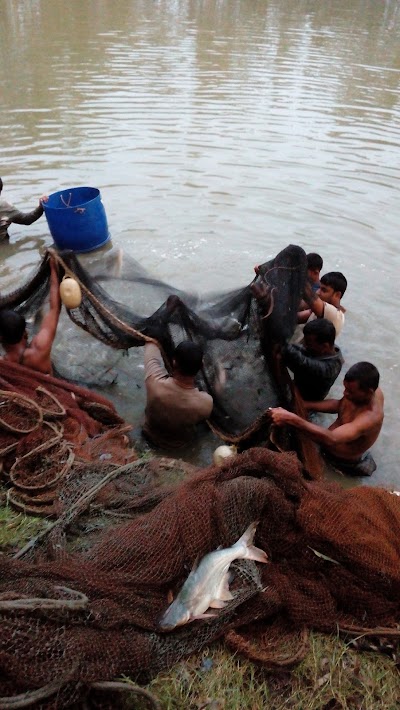 Photos of Nurul Huda Fish & Poultry Farm