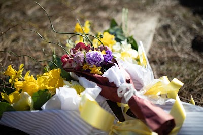 Larks Petals and Stems