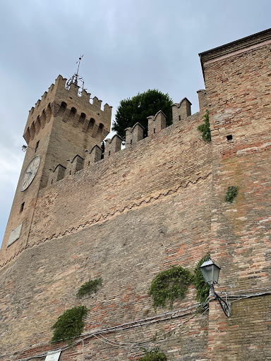 Museo Luigi Paolucci
