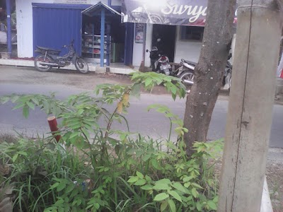 Photos of TK.Pojok