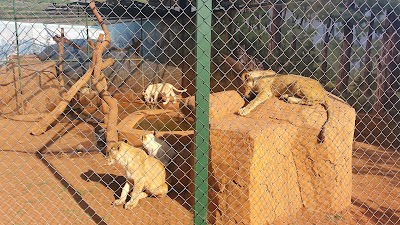 Photos of Genius Loci Game Ranch