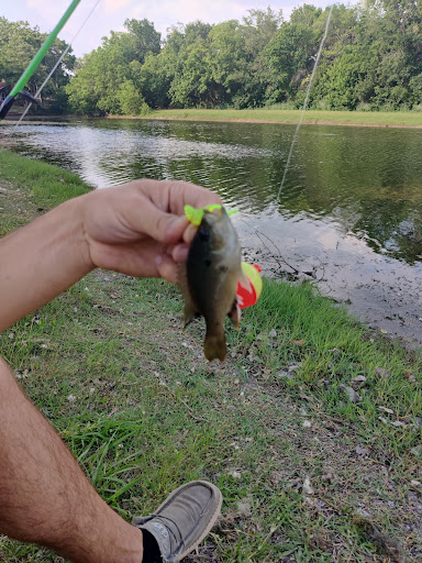 Bell-Vue Park - Thumbnail