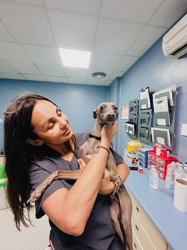 Veterinary Hospital Los Majuelos