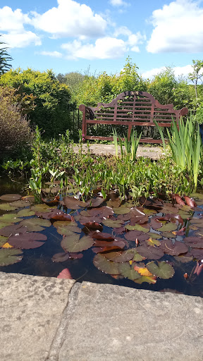Kingsbridge Community Garden - Thumbnail