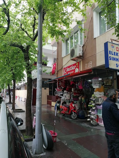 DOSTLAR PETSHOP