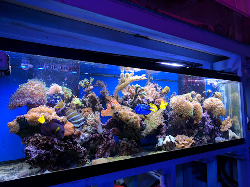 ABC Aquarium Gallery - United States