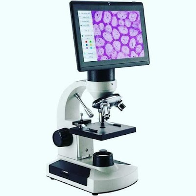 Photos of Clinical Brigo 2