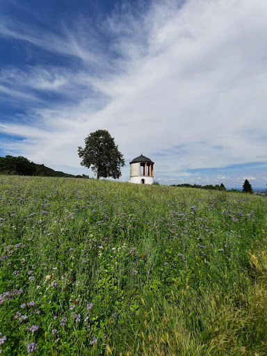 Deidesheimer Tempel - Thumbnail