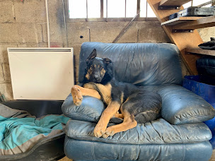 Photo n°13 de JEREMAUTO à Montigny-Lencoup (Garage automobile)