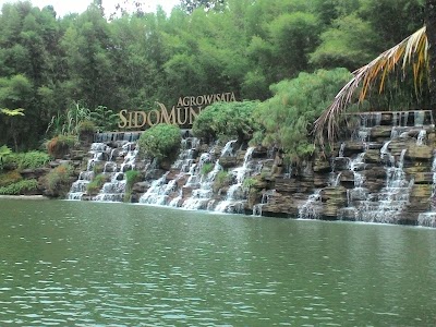 Photos of PT. Sido Muncul - Factory