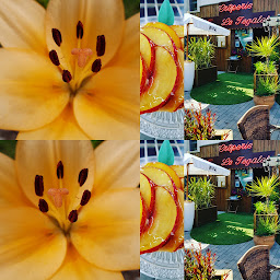 Photo n°19 de Le Tegalet à Gujan-Mestras (Restaurant de plats à emporter)